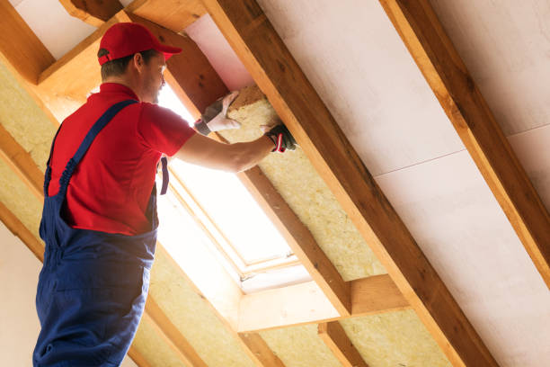 Best Attic Insulation Installation  in Ocean Ridge, FL